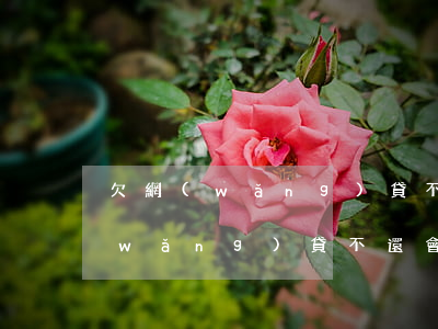 欠網(wǎng)貸不還會怎樣處理(欠網(wǎng)貸不還會怎樣處理)