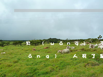 欠網(wǎng)貸不還會死嗎(欠的網(wǎng)貸人死了是不是就不用還了)