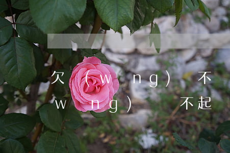 欠網(wǎng)貸不還會玩坐牢嗎(欠網(wǎng)貸還不起會不會坐牢)