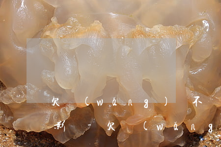 欠網(wǎng)貸不還會給子女造成什么影響-欠網(wǎng)貸不還會給子女造成什么影響呢