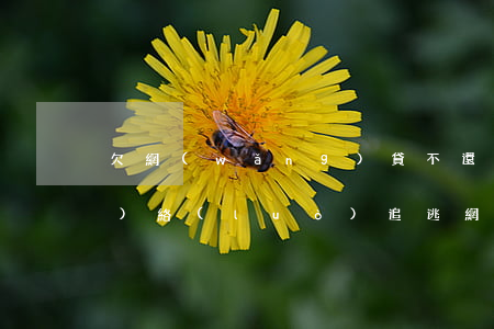 欠網(wǎng)貸不還會被網(wǎng)絡(luò)追逃(網(wǎng)貸逃跑會被找到嗎)