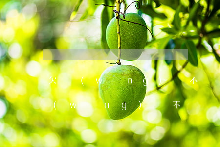 欠網(wǎng)貸不還會追家人還嗎(欠網(wǎng)貸不還會追家人還嗎)