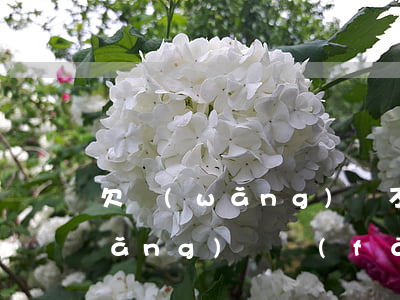 欠網(wǎng)貸不還有律師函(欠網(wǎng)貸發(fā)來(lái)律師函有沒(méi)有事)