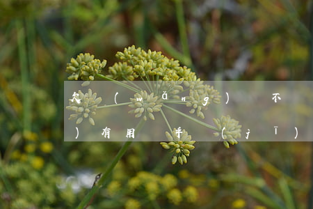 欠網(wǎng)貸不還格式化手機(jī)有用嗎(手機(jī)欠費(fèi)影響網(wǎng)貸嗎)
