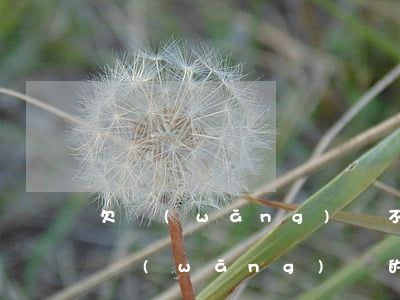 欠網(wǎng)貸不還款妙招圖片(一直欠網(wǎng)貸的錢怎么辦)