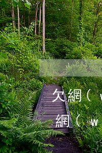 欠網(wǎng)貸不還款妙招會被上門(欠網(wǎng)貸上門怎么處理)