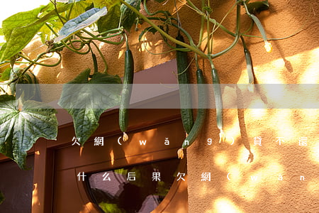欠網(wǎng)貸不還款會(huì)有什么后果(欠網(wǎng)貸不還后果嚴(yán)重嗎)