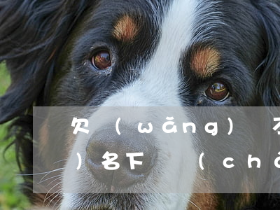 欠網(wǎng)貸不還款會凍結(jié)名下財產(chǎn)嗎-欠網(wǎng)貸不還款會凍結(jié)名下財產(chǎn)嗎怎么辦