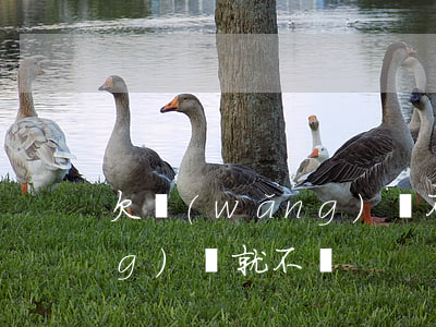 欠網(wǎng)貸不還死了(欠網(wǎng)貸就不還)
