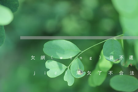 欠網(wǎng)貸不還法律怎樣處理結(jié)果(欠了不合法網(wǎng)貸應(yīng)該怎么辦)