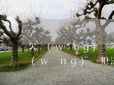 欠網(wǎng)貸不還派出所抓人嗎(欠網(wǎng)貸犯法嗎警察抓人嗎)