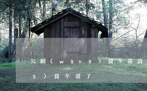欠網(wǎng)貸不還消失(欠網(wǎng)貸不還了)