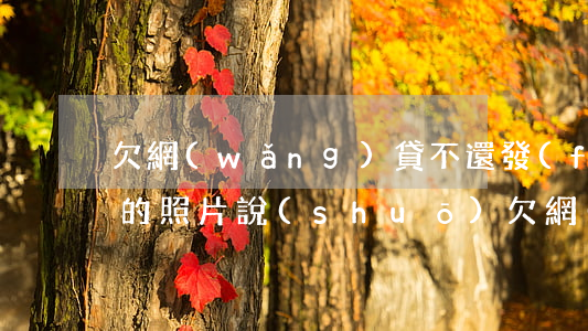 欠網(wǎng)貸不還發(fā)我女兒的照片說(shuō)(欠網(wǎng)貸四年了,昨天給我發(fā)了信息還有照片說(shuō)起訴我)
