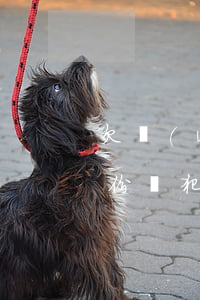 欠網(wǎng)貸不還發(fā)手持身份證犯法嗎(他人用我身份證辦理的網(wǎng)貸,欠的款怎么辦)