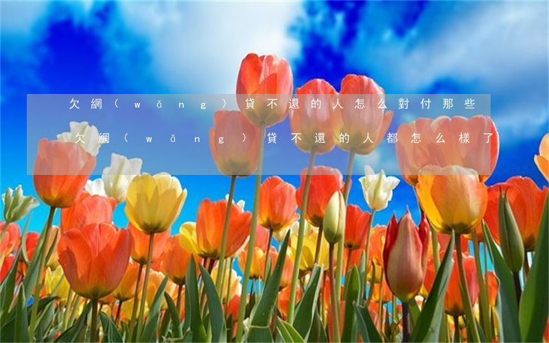 欠網(wǎng)貸不還的人怎么對付(那些欠網(wǎng)貸不還的人都怎么樣了)