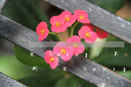 欠網(wǎng)貸不還的人生活反而不受影響-欠網(wǎng)貸不還的人生活反而不受影響了