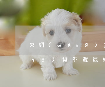 欠網(wǎng)貸不還的例子(欠網(wǎng)貸不還最終會怎樣)