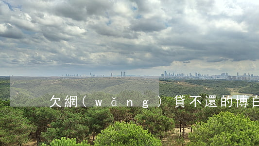 欠網(wǎng)貸不還的博白人