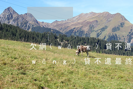 欠網(wǎng)貸不還的后果怎樣(欠網(wǎng)貸不還最終會怎樣)