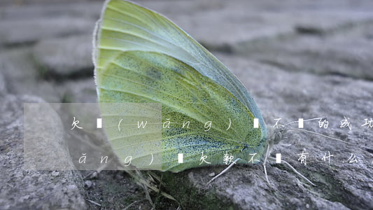 欠網(wǎng)貸不還的成功案例(網(wǎng)貸欠款不還有什么后果)