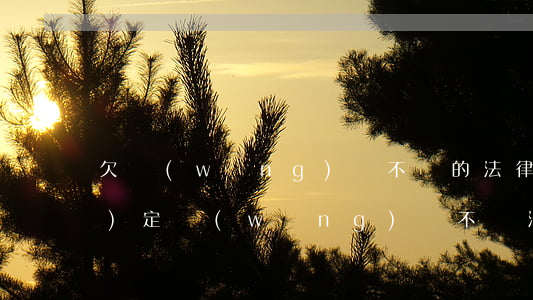 欠網(wǎng)貸不還的法律規(guī)定(網(wǎng)貸不還法律怎么處理)