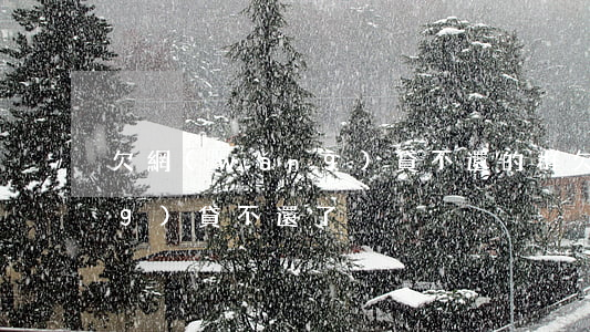 欠網(wǎng)貸不還的群(欠網(wǎng)貸不還了)