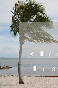 欠網(wǎng)貸不還經(jīng)典對(duì)話(網(wǎng)貸還清了還打電話說(shuō)欠款)