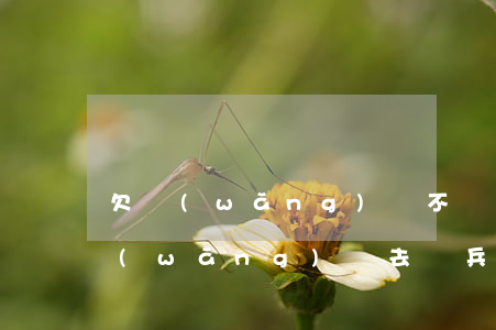 欠網(wǎng)貸不還能去當兵嗎(欠了網(wǎng)貸去當兵會怎樣)