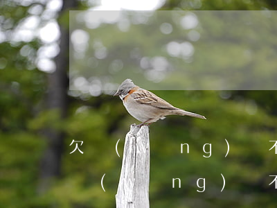 欠網(wǎng)貸不還被起訴會坐牢么(欠網(wǎng)貸不還被起訴會坐牢么)