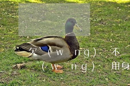 欠網(wǎng)貸不還身份證可以用嗎(欠網(wǎng)貸用身份證會被發(fā)現(xiàn)嗎)