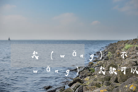 欠網(wǎng)貸不還逃到國外行嗎(網(wǎng)貸欠款可以出國嗎)
