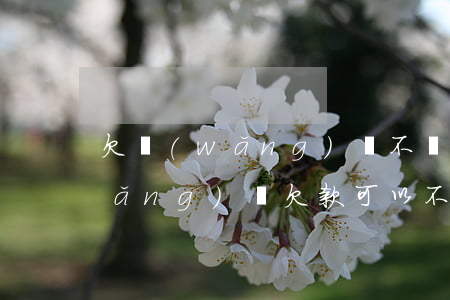 欠網(wǎng)貸不還還能貸款嗎(網(wǎng)貸欠款可以不還嗎)