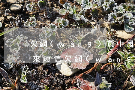 欠網(wǎng)貸中國銀行卻發(fā)來短信(欠網(wǎng)貸中國銀行卻發(fā)來短信但是不是貸款那個號收到的)