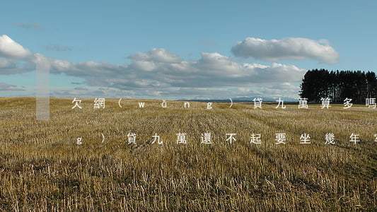 欠網(wǎng)貸九萬算多嗎(網(wǎng)貸九萬還不起,要坐幾年牢)