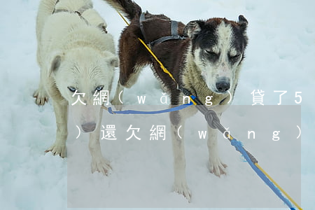 欠網(wǎng)貸了5千三年沒(méi)還(欠網(wǎng)貸五千多塊錢三年)
