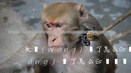 欠網(wǎng)貸了怎么正確還 欠網(wǎng)貸了怎么正確還錢(qián)