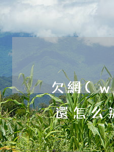 欠網(wǎng)貸二十多萬(wàn)我還怎么辦(欠了20幾萬(wàn)網(wǎng)貸怎么辦)