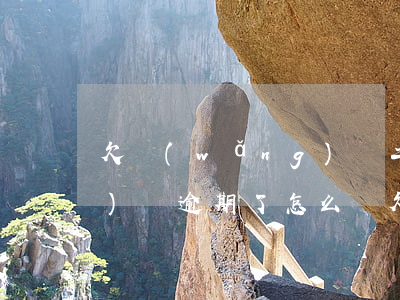 欠網(wǎng)貸二十多萬準(zhǔn)備逾期了怎么辦(欠網(wǎng)貸20多萬怎么辦)