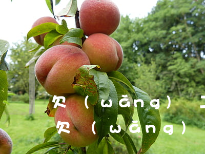 欠網(wǎng)貸二十多萬還不上怎么辦(欠網(wǎng)貸20多萬,現(xiàn)在還不清了怎么辦)