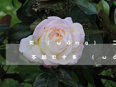 欠網(wǎng)貸二十幾萬(wàn)還不起(欠十多萬(wàn)網(wǎng)貸還不起了)