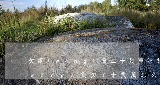 欠網(wǎng)貸二十幾萬該怎么辦(網(wǎng)貸欠了十幾萬怎么辦)
