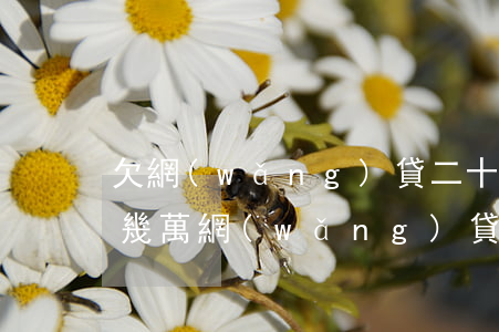 欠網(wǎng)貸二十萬會坐牢嗎(欠了十幾萬網(wǎng)貸還不上會坐牢嗎)