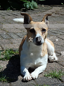欠網(wǎng)貸二十萬沒錢還(網(wǎng)貸欠二十多萬無力償還)