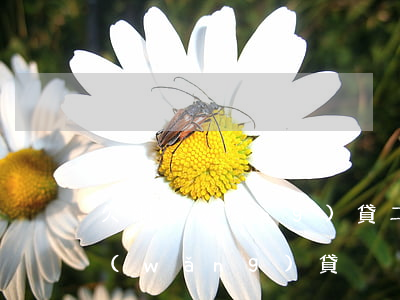 欠網(wǎng)貸二十萬老婆(欠十幾萬網(wǎng)貸)