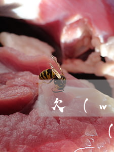 欠網(wǎng)貸二十萬要怎么還(欠了十幾萬網(wǎng)貸怎么還)