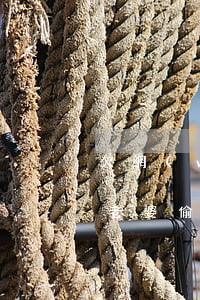 欠網(wǎng)貸二十萬讓未婚妻知道了(老婆偷偷欠網(wǎng)貸20萬)