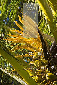 欠網(wǎng)貸二千不還會(huì)怎樣(網(wǎng)貸兩千不還會(huì)怎么樣)