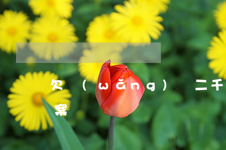 欠網(wǎng)貸二千多會(huì)立案嗎