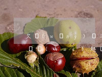 欠網(wǎng)貸二千多網(wǎng)貸會(huì)起訴嗎(網(wǎng)貸欠兩千元可以起訴嗎)