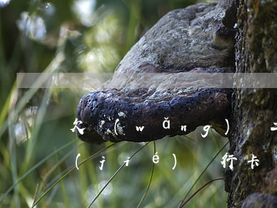 欠網(wǎng)貸二千會(huì)凍結(jié)銀行卡嗎(欠網(wǎng)貸公安局會(huì)凍結(jié)銀行卡嗎)